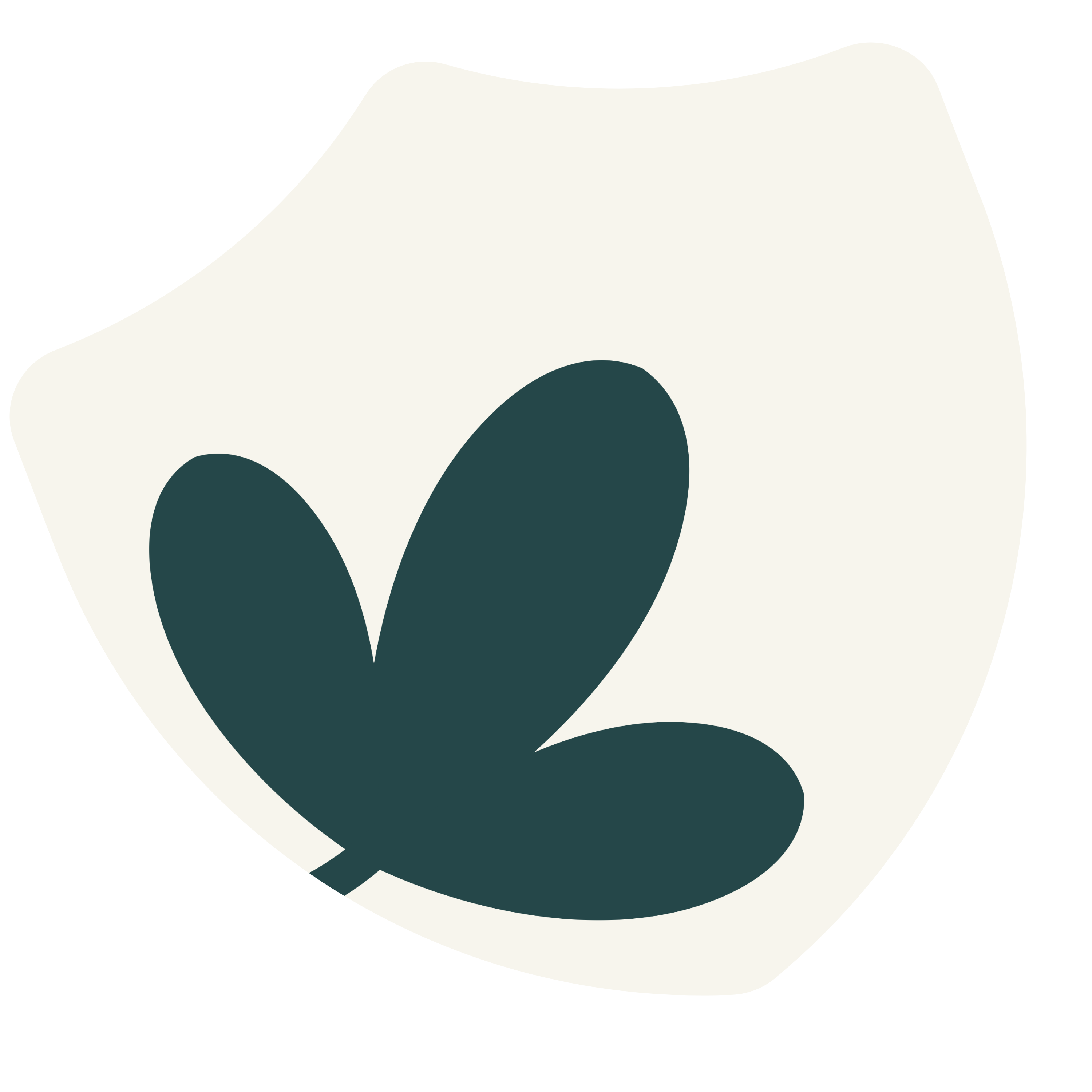 Willora Tutoring